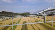 Octopus Energy expands its French portfolio by acquiring agrivoltaic developer OX2 France