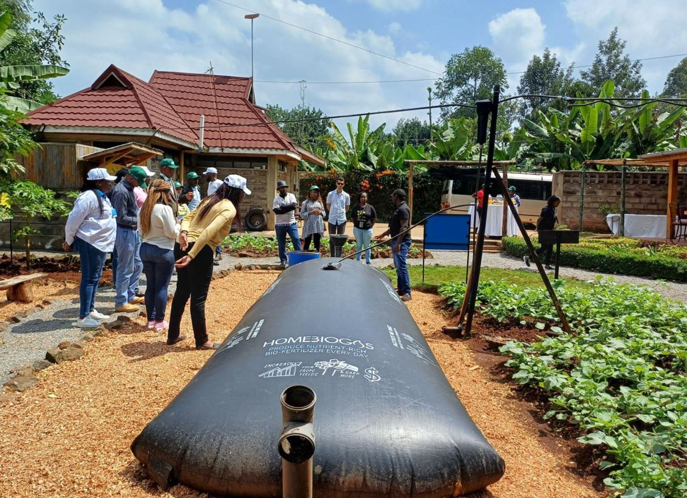 Transforming Organic Waste into Renewable Energy: Award-Winning Biogas Packaging