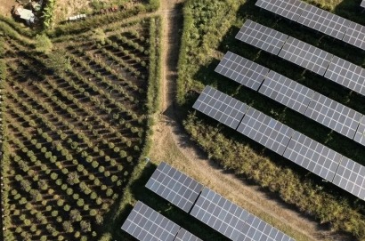 Portugal se adentra en la agrovoltaica con el proyecto FruitPV