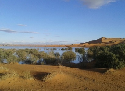  Agua para el desierto gracias a la energía solar  