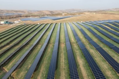 BayWa inicia la actividad agrícola en un parque solar de 54 MW en Granada