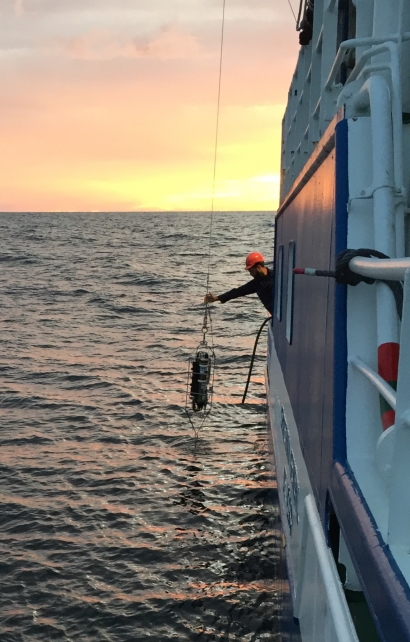 La temperatura media de la columna de agua en el litoral vasco ha aumentado casi medio grado en solo 30 años