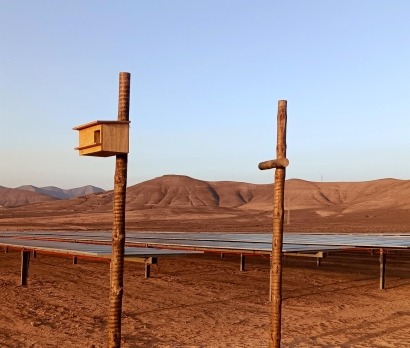 El parque solar canario Llanos Pelaos III obtiene el Sello de Excelencia para la Sostenibilidad de UNEF