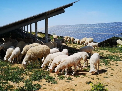 Los proyectos fotovoltaicos Olmedilla y Campo Arañuelo III de Iberdrola obtienen el Sello de Excelencia de UNEF