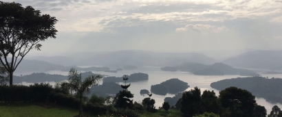 Hoy es el Día Mundial del Medio Ambiente