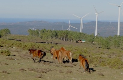 La patronal eólica gallega alerta: Galicia está perdiendo "la gran oportunidad de reindustrializarse"