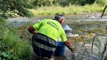  Engie libera en el Pirineo catalán miles de truchas rescatadas en el canal de la central hidroeléctrica de Sossís 