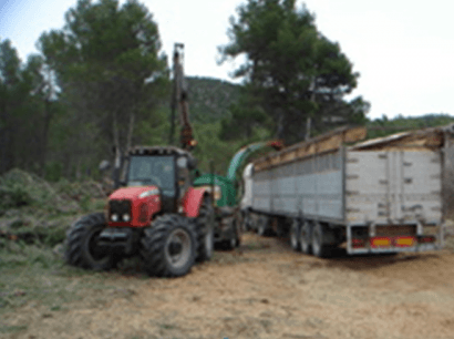 Región de Murcia: clúster y plan para desarrollar la biomasa de origen forestal