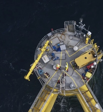  Acuerdo entre IberBlue Wind y MARE papa estudiar el impacto de la eólica offshore en la flora y fauna marinas 