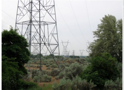 Massachusetts Pulls Plug on $1.6 Billion Transmission Line Project