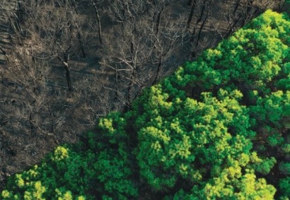 El cambio climático reducirá en casi un 18% la renta per cápita de los españoles en menos de 25 años