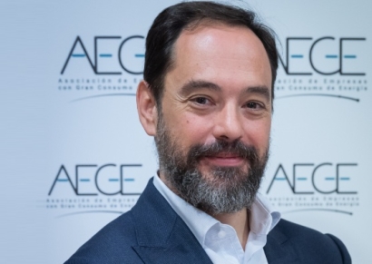 Pedro González, nuevo director general de la Asociación de Empresas con Gran Consumo de Energía