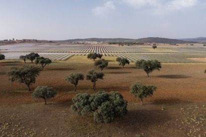 Sello de Excelencia UNEF para dos plantas solares operadas por ABEI Energy en Cáceres y Ciudad Real