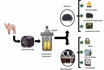  Nuevo método para transformar los purines de cerdo en biocombustible y fertilizantes 