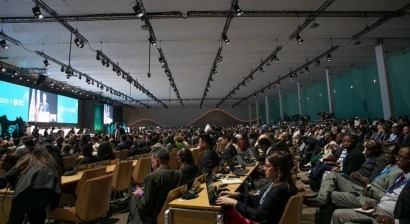 The Baku World Climate Summit leaves SEO/BirdLife “deeply disappointed”