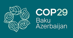 COP29