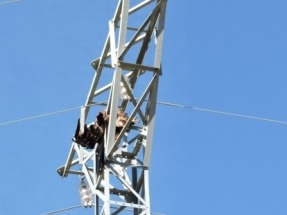 Agentes para la Protección de la Naturaleza de Teruel localizan dos águilas reales electrocutadas