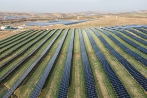 BayWa inicia la actividad agrícola en un parque solar de 60 MW en Granada