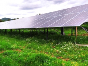 Ibéricos, de bellota... y con una instalación solar para autoconsumo