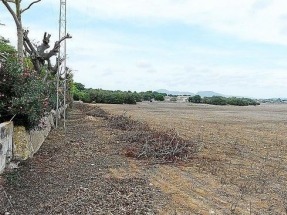 Baleares tramita megaparques solares fotovoltaicos que suman casi 220 megavatios