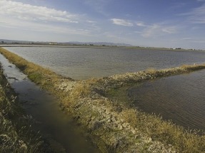 El Parque Natural del Delta del Ebro emplea energía solar para reducir la salinidad de sus aguas