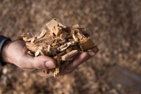 La astilla de madera es el combustible más económico para la calefacción doméstica