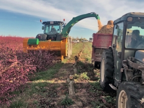 Utilizar los arranques de frutales como biomasa podría calentar tres millones de viviendas en España