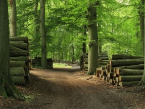 Medio Ambiente subvencionará con 7,8 millones de euros proyectos relacionados con las economías verde y azul