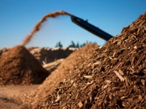 Una retribución inferior a los costes reales pone en riesgo 30.000 empleos de la biomasa