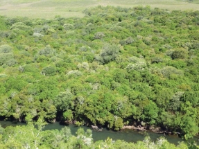 Uruguay lanza un bono verde ligado solo a indicadores ambientales