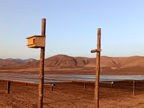 El parque solar canario Llanos Pelaos III obtiene el Sello de Excelencia para la Sostenibilidad de UNEF