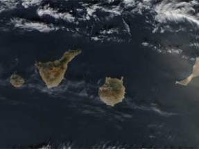 Canarias espera que el Gobierno anuncie la nueva subasta eólica la próxima semana