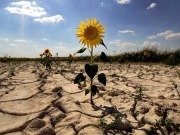  El mundo ya lleva doce meses por encima del +1,5ºC de calentamiento global 