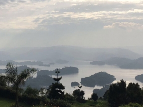 Hoy es el Día Mundial del Medio Ambiente