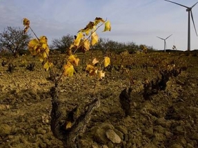 Las renovables generan a estas horas casi el 70% de la electricidad en España
