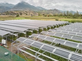 Agrovoltaica: Eaton e Insolight se alían para impulsar el "aprovechamiento dual de la tierra"