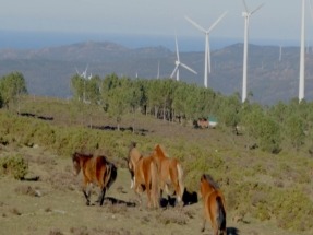 La patronal eólica gallega alerta: Galicia está perdiendo "la gran oportunidad de reindustrializarse"