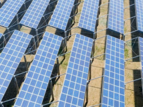Para cumplir el PNIEC habría que instalar una capacidad solar equivalente la superficie de Madrid    