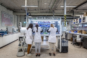 El laboratorio del almacenamiento