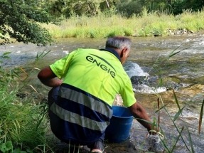  Engie libera en el Pirineo catalán miles de truchas rescatadas en el canal de la central hidroeléctrica de Sossís 