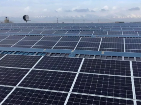 La mayor parte de los proyectos autorizados por el Miteco en 2024 son fotovoltaicos