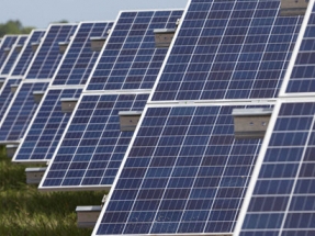 Florida Power & Light and Audubon Florida launch Solar Sanctuary Program