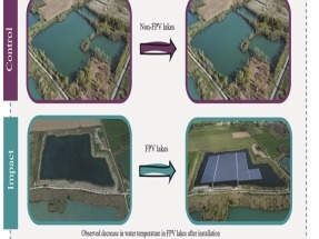 Demuestran que las plantas solares flotantes disminuyen la temperatura del agua en 1,2ºC de media