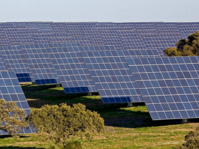 La nueva subasta solar en Portugal garantiza un ahorro anual de 37 millones a los consumidores