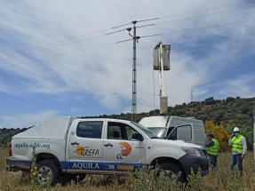 Eliminado el punto negro de electrocución de aves más letal de la provincia de Jaén