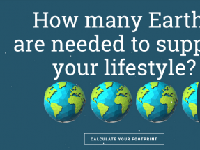 Reducir cada año 4,5 días la entrada de la Tierra en Deuda Ecológica permitiría lograr la neutralidad en 2050