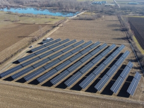 MainTech señala los módulos LONGi como los más eficientes en condiciones de calor extremo