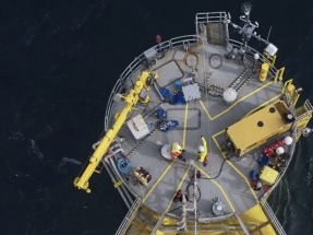  Acuerdo entre IberBlue Wind y MARE papa estudiar el impacto de la eólica offshore en la flora y fauna marinas 