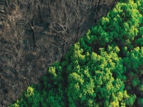 El cambio climático reducirá en casi un 18% la renta per cápita de los españoles en menos de 25 años