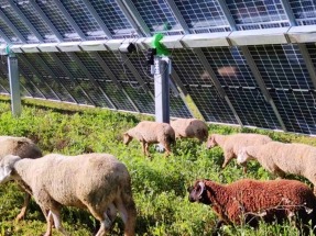 Endesa produce por primera vez más energía solar que eólica en Andalucía